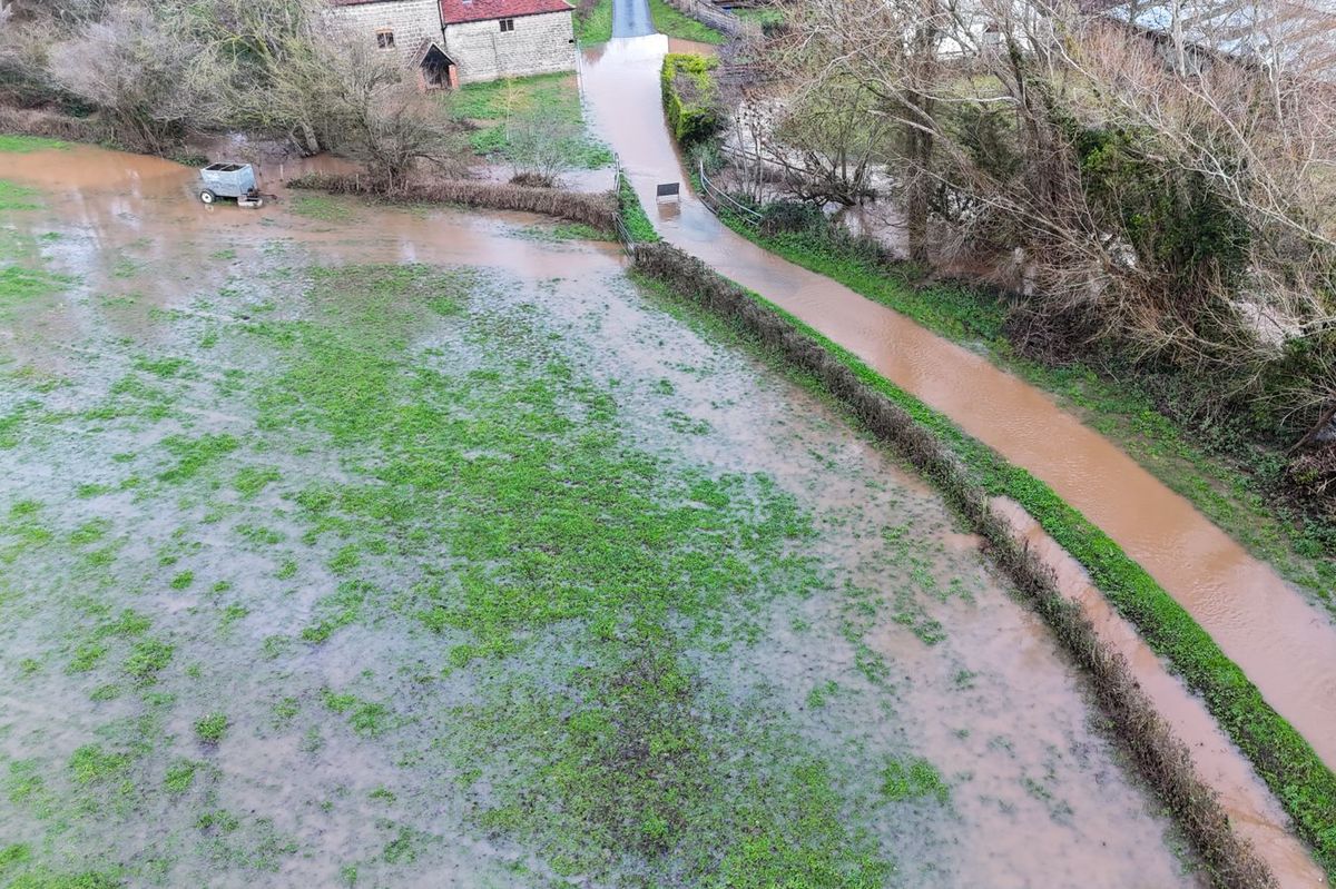 The Forest of Dean District Council's own assessment of the site revealed 