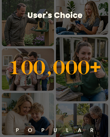 Text reads 'User's Choice', '100,000+', 'POPULAR'. Composite image showing multiple lifestyle photos with people in various social settings and activities arranged in grid format.