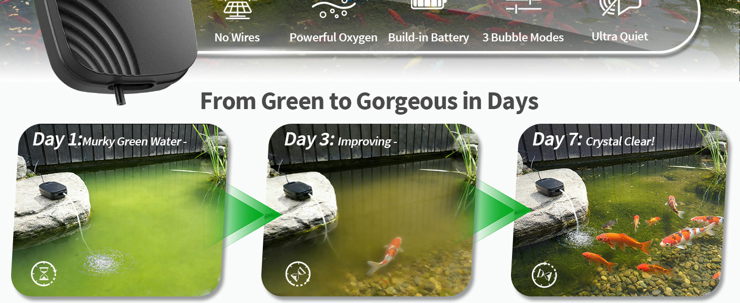 Text reads 'From Green to Gorgeous in Days'. Side-by-side images showing progression stages of trampoline mat transformation from green to clean condition.