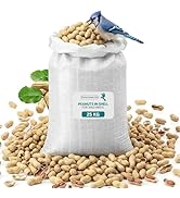 Large white sack filled with peanuts, surrounded by scattered peanuts and green leaves. Product packaging includes blue label detail.