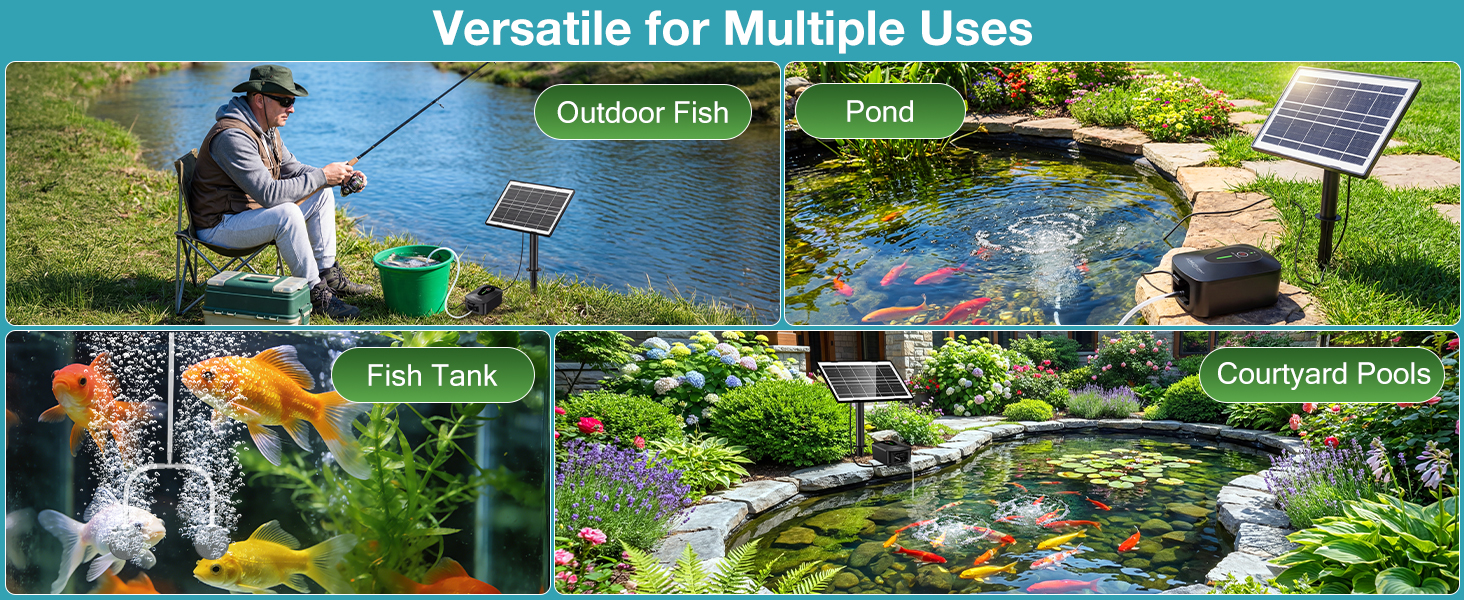 aplus content image