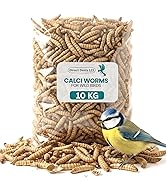 Text reads 'CALCI WORMS 2 KG'. Bulk bag of dried mealworms with blue tit bird perched on pile. Pet food product for birds and reptiles.