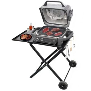 Outdoor BBQ Stand with Side Table and Hook