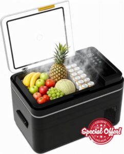 ARTETHYS Camping Fridge