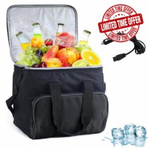 Portable Electric Cooler Bag 15L