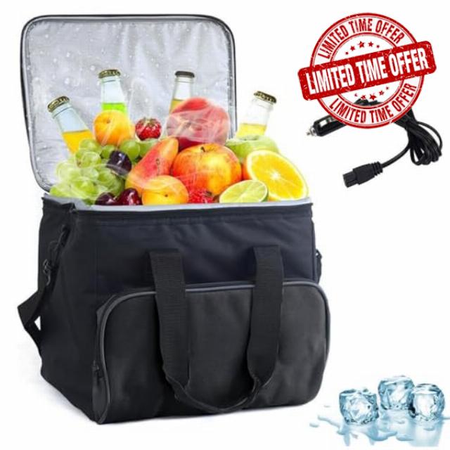 Portable Electric Cooler Bag 15L