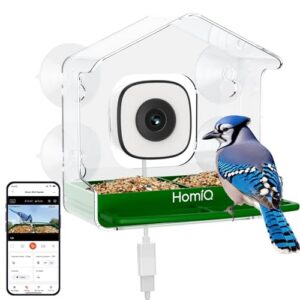 AI Bird Species Identification