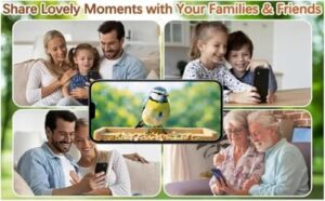 Wildlife Camera for Garden Bird Boxes