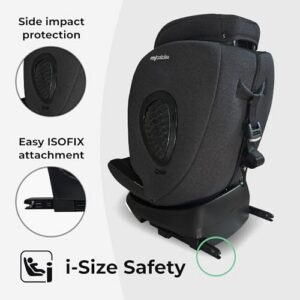 Rotating 360 Swivel - Black Leo