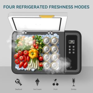Electric Cooler -20°C to 20°C for Campervan Travel RV           [Energy Class D]