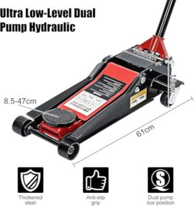 Dual Pump
