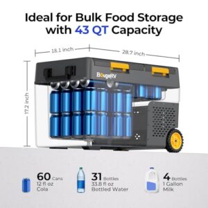 Dual Zone 12V Compressor Freezer