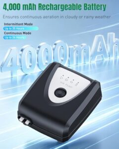 Pond Air Pump