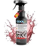 COOL5 Upholstery Master Cleaner - Quick Act, Powerful Car Interior Cleaner XXL, 1000ml +...