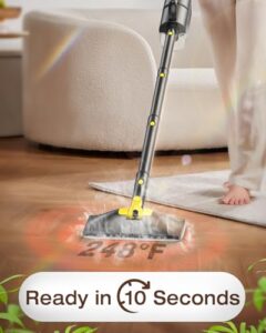 248°F Steam Cleaner