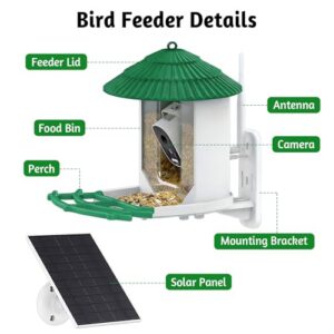 AI Identify Birds