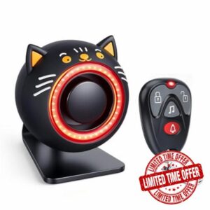 Car Alarm System