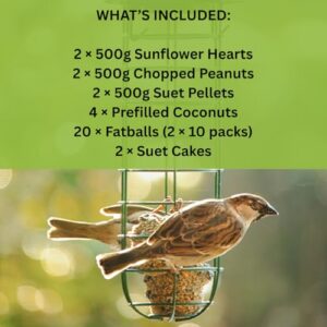 Bird Peanuts