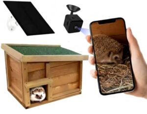 Live Stream to Phone