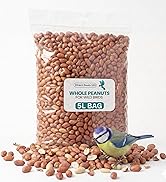 (1L Tub) Whole Peanuts for Wild Birds Food, 100% Natural Ingredients High Energy Nuts for Garden ...