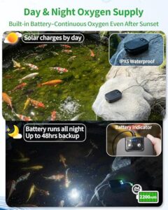 3 Modes & Separated Solar Panel for Small Outdoor Pond Fish Tank Hydroponics