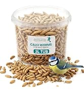 (1L Tub) Calci Worms for Wild Bird Food Premium Bird Feed High Calcium Protein Treat for Robins S...