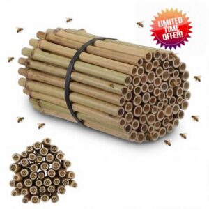Mifoci 100 Pcs 5.9" Mason Bees Bamboo Tubes Natural Nest Mason Bees House 0.27"-0.4" Inner Diameter for Bee Hotels Solitary Bee Hives Pollinator Gardens