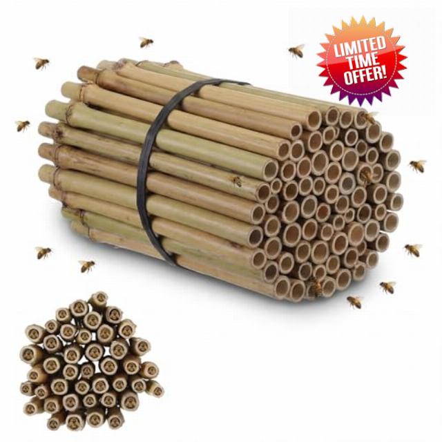 Mifoci 100 Pcs 5.9" Mason Bees Bamboo Tubes Natural Nest Mason Bees House 0.27"-0.4" Inner Diameter for Bee Hotels Solitary Bee Hives Pollinator Gardens