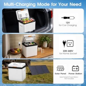 Thermoelectric Camping Fridge for Travel