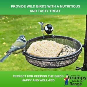 Suet Cakes & Nutpecker Coconuts | High-Protein Energy Feed (6 Kg)