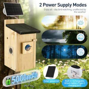 Solar Powered Nest Box for Outdoor Garden with Night Vision