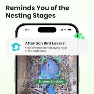 1080P HD & Night Vision for Bluebird Finch Swallow Wren Chickadee Nesting Watching