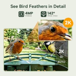 Auto Capture & Real-Time Notifications