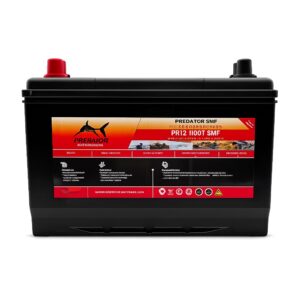 Dual Terminal Sealed Lead Acid Deep Cycle Battery