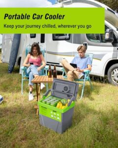 Portable 12V/220V-240V Mini Car Refrigerator