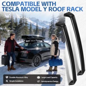 Lockable Rooftop Luggage Cargo Carrier