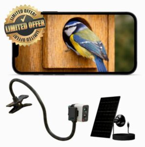 Bird Box Camera WiFi 4MP – Solar Birdhouse Camera for Nest Box Entrance Monitoring