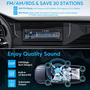 Supports 2 USB/AUX/SD