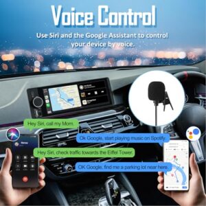 Voice Control