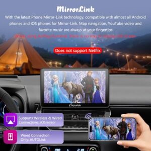 MirrorLink/GPS/Siri/FM