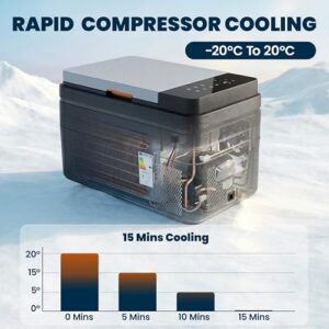 12/24V DC and 100-240V AC
