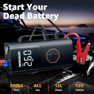 LCD Display