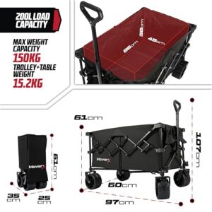 Foldable Trolly for Festival Beach Outdoor Garden Picnic Shopping Fishing