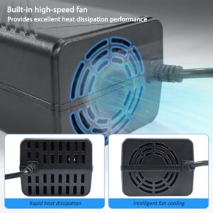 Automotive Vacuum & Road Trip/Home Use