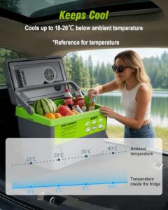 Road Trips & Family Use