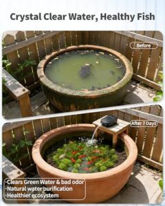 Fish Pond