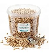 (3L Tub) Mealworms for Wild Bird Food- Premium High Protein Dried Mealworms for Garden Birds Trea...