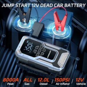 Jump Leads