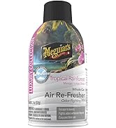 Meguiar's Island Volcano Air-Refresher Aerosol - Long-Lasting Car Air Freshener - G262502EU