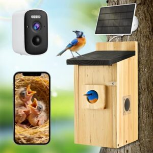 Wireless 4K HD Birdhouse